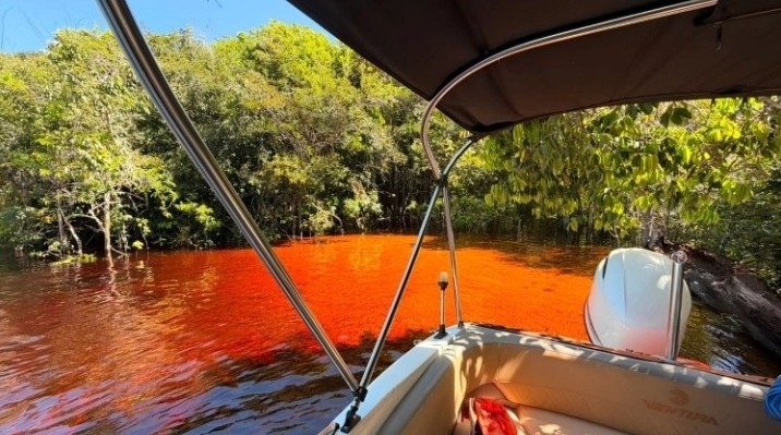 Boat ride through the flooded forest